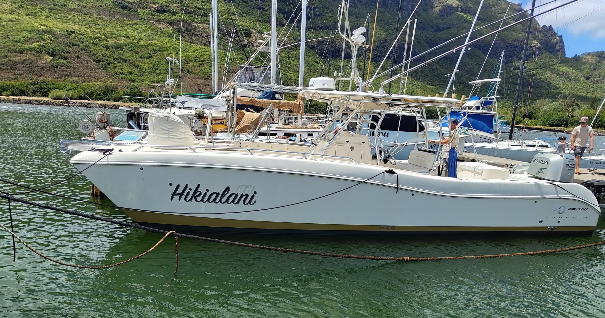 Chartered boat moored in marina near lush Hawaiian coastlines