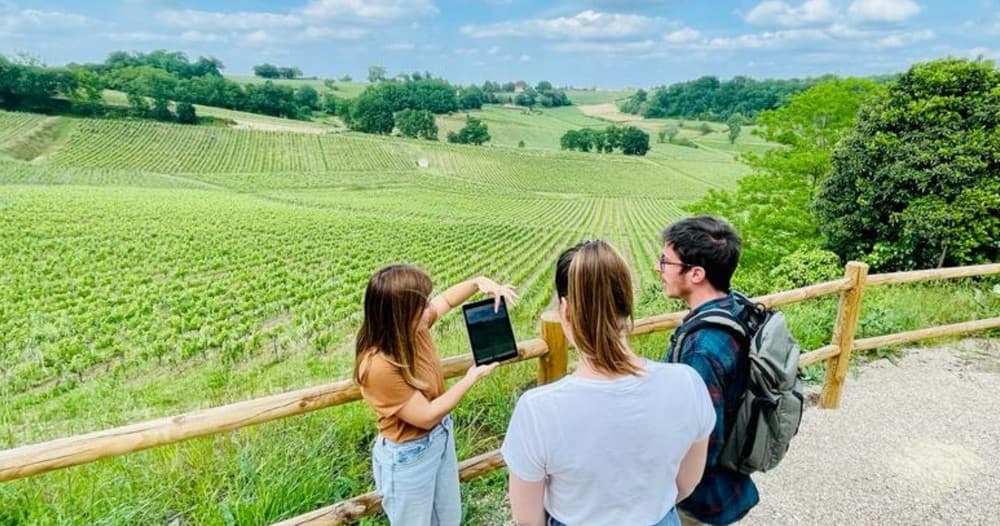 Wine Tasting & Vineyard Tours at Bordeaux Terroir