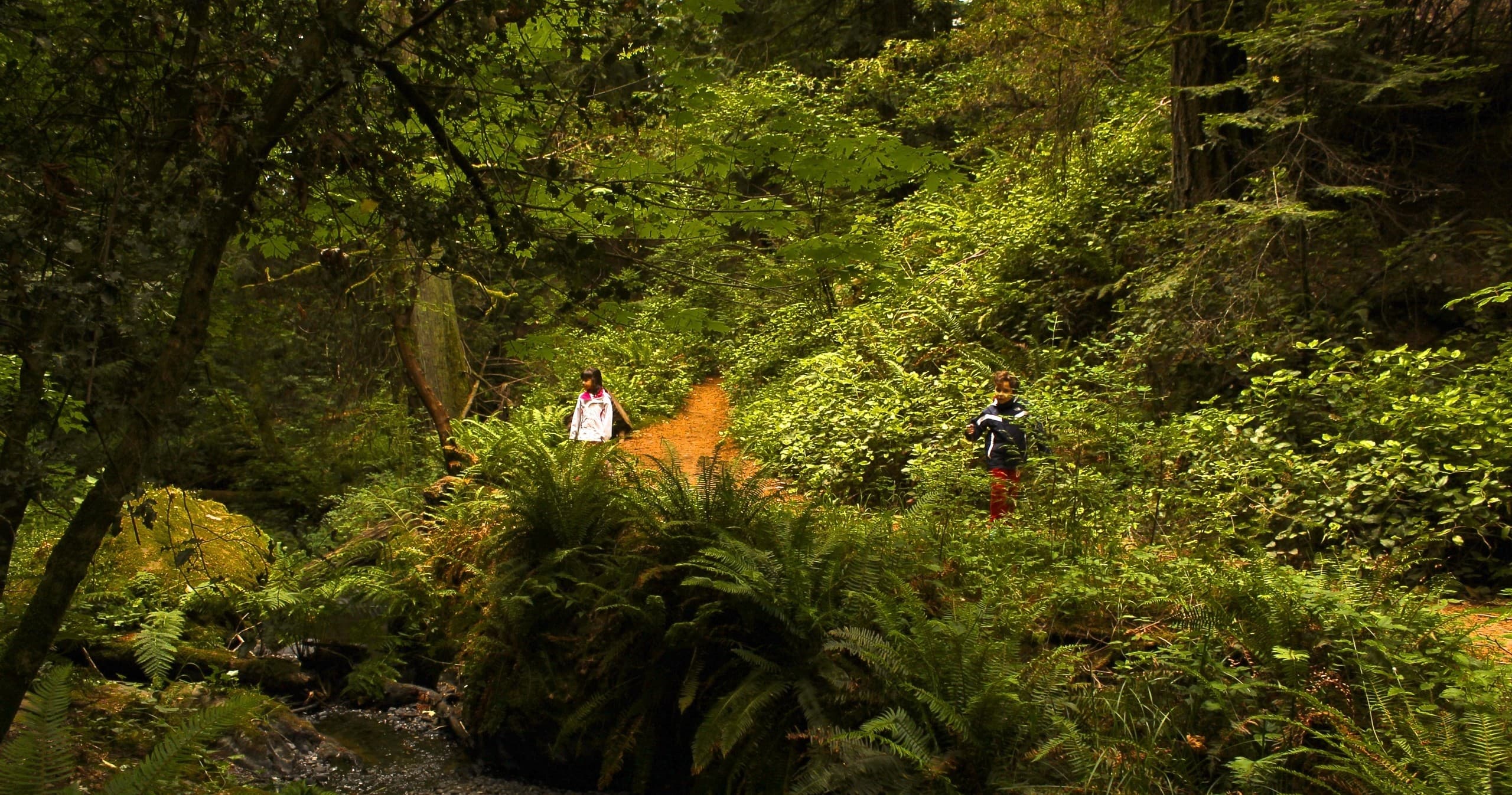 Family Adventure Tours with EV Tours in Victoria