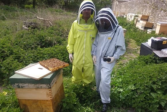 Beekeepers inspecting outdoor apiary hive in grassy field