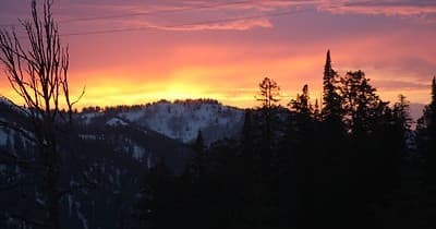 Private Grand Teton Land Adventure & Wildlife Tour