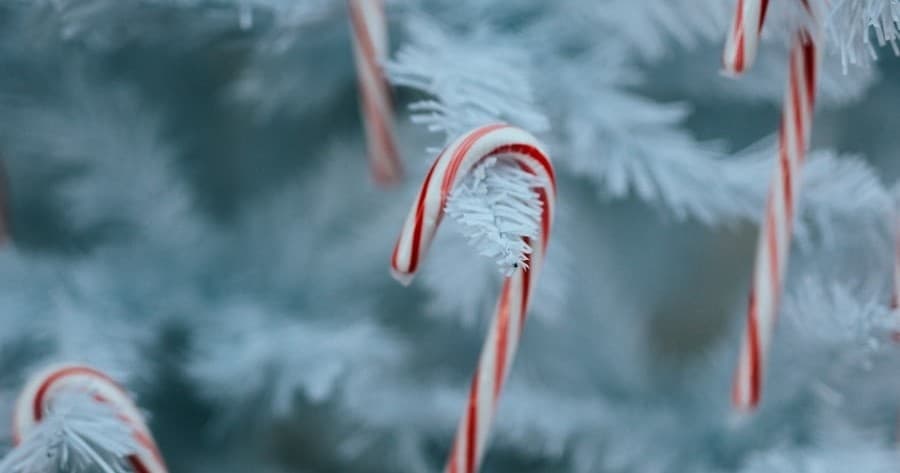 All Aboard Santa’s Candy Cane Express: Festive Train Rides in La Porte, Indiana