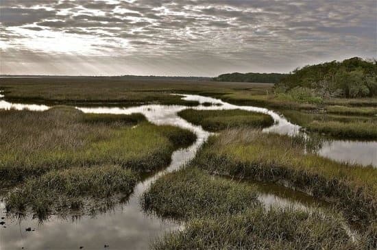 Winding marsh channels in Florida coastal wetlands, scenic view