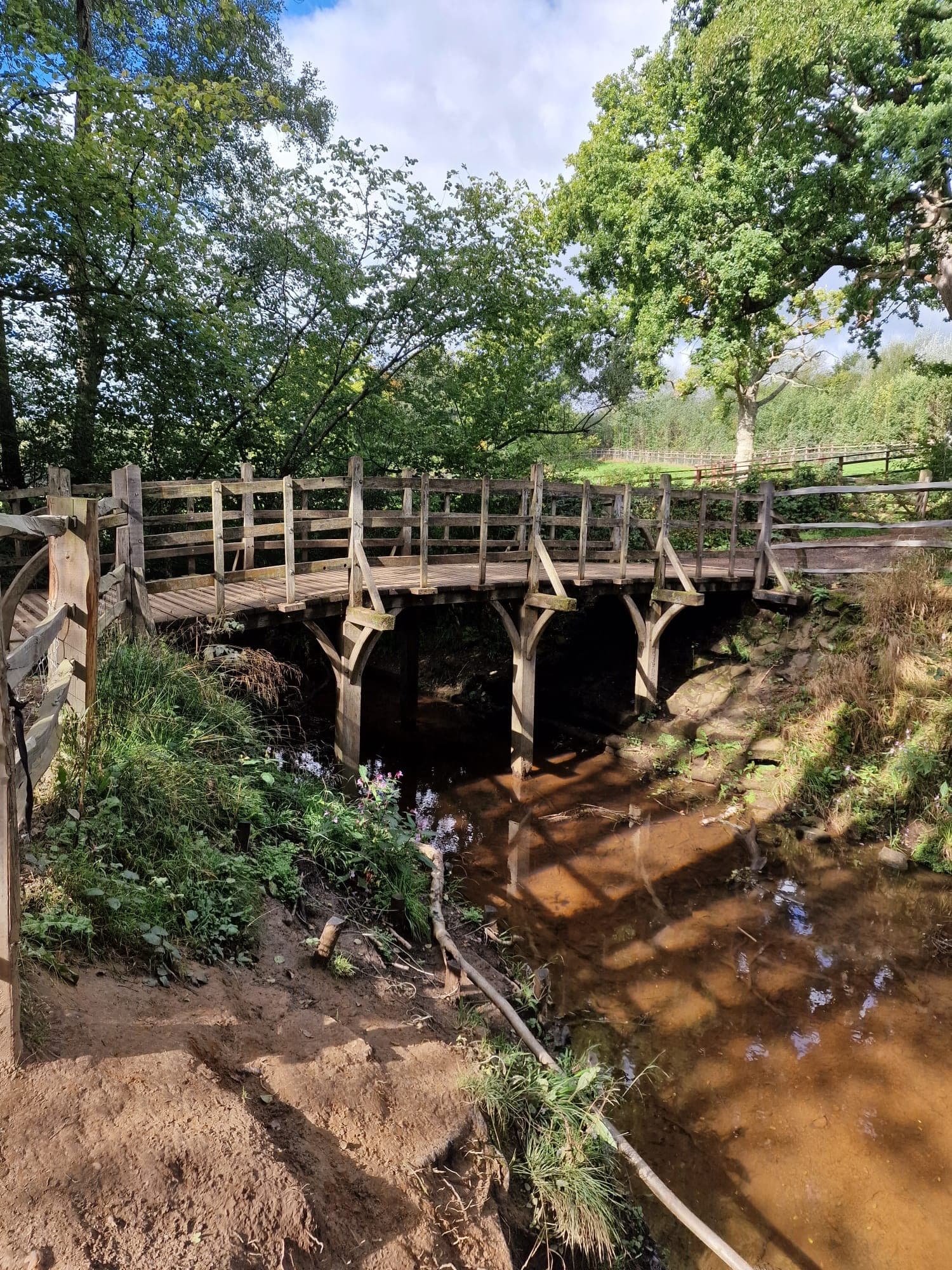 Wooden footbridge over forest stream, short riverside hiking route
