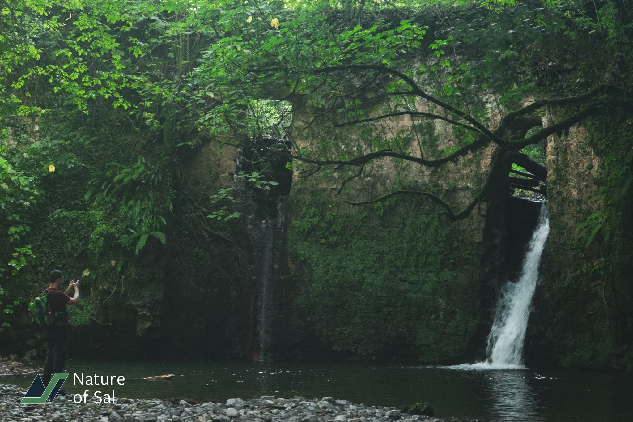 Secluded forest waterfall cascading into pool, nature hike spot