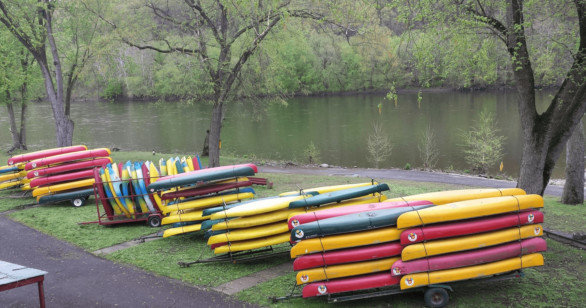 Exciting Group Canoes on Delaware River in Pipersville, PA