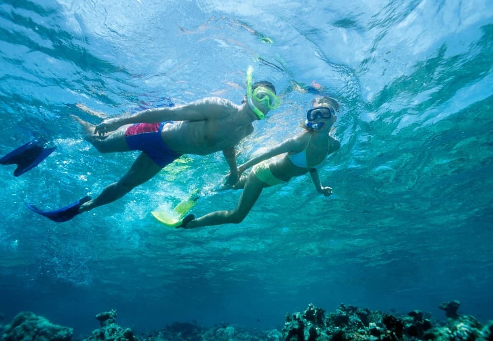 2-Hour Waikiki Snorkel Adventure in Honolulu, Hawaii
