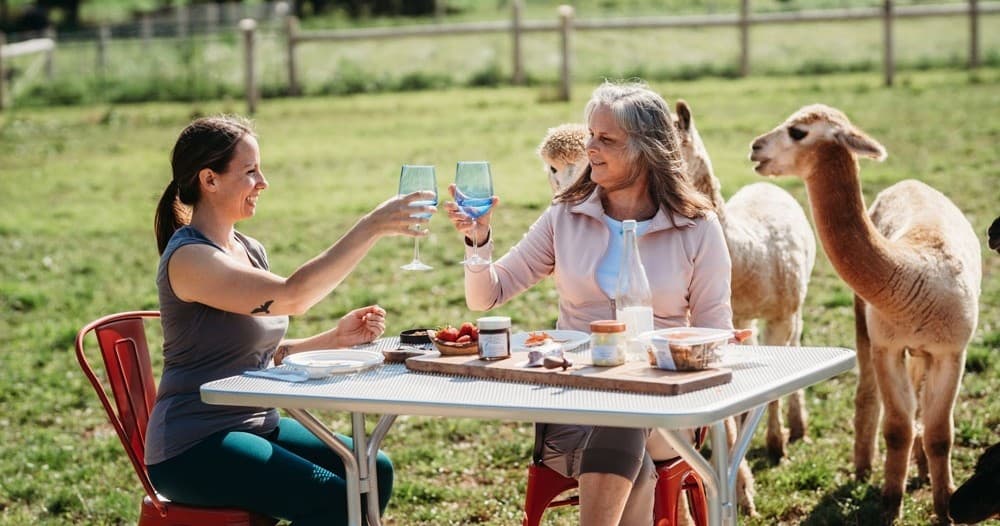 Friends enjoying outdoor picnic with curious alpacas nearby