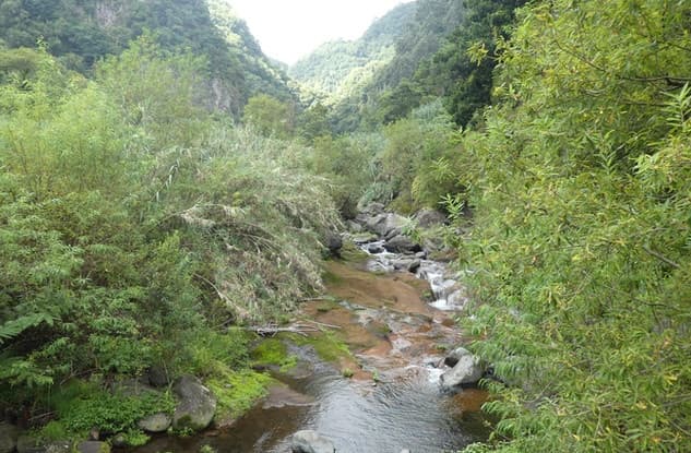 Water Activities & Adventure with Bravelanders in Funchal