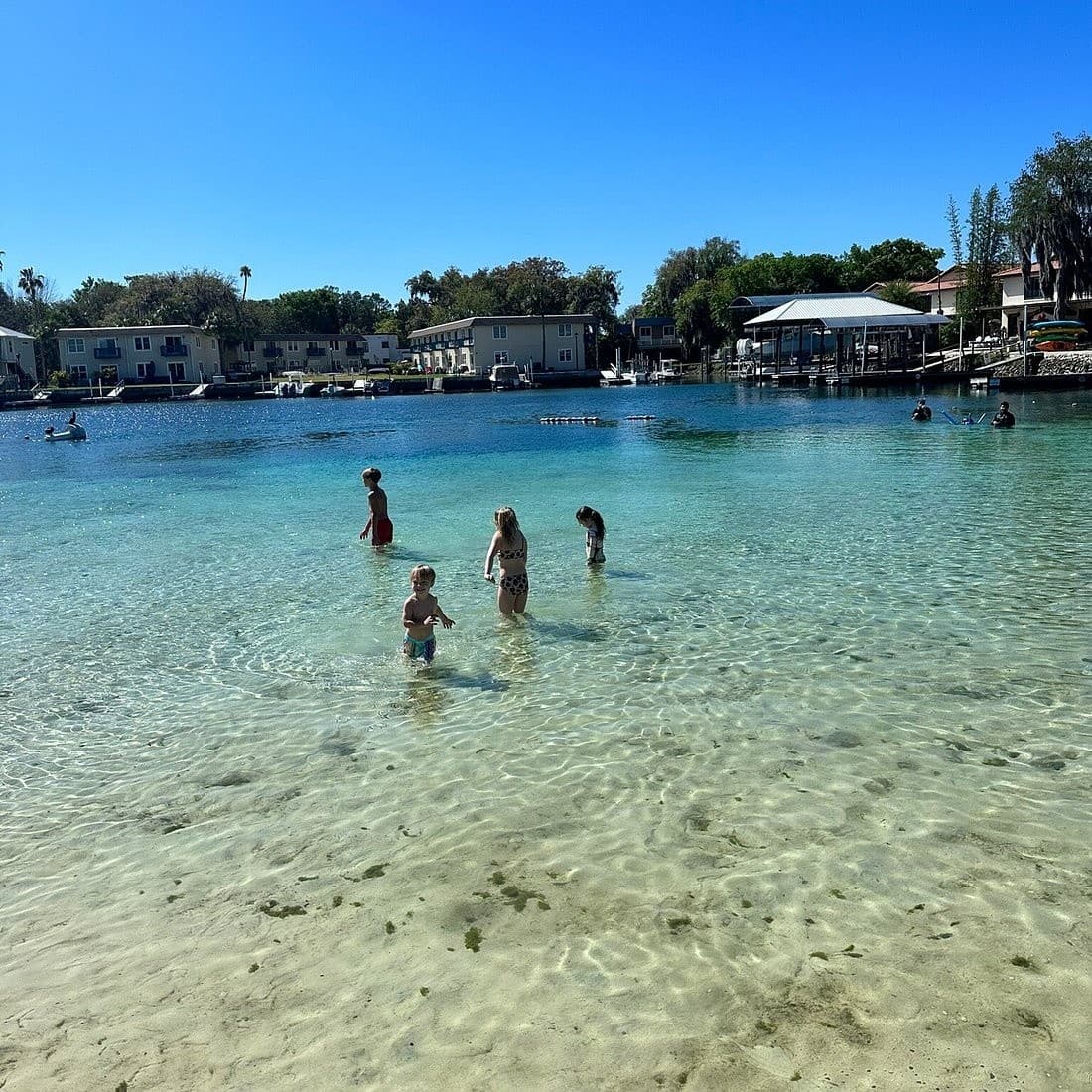 Kings Bay Scalloping & Springs Adventure — Yankeetown FL