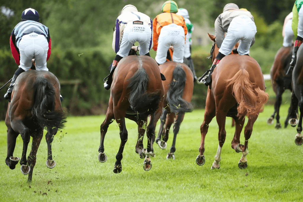 Coach Shuttle to Down Royal Races from Larne — May Day Race Day Transfer