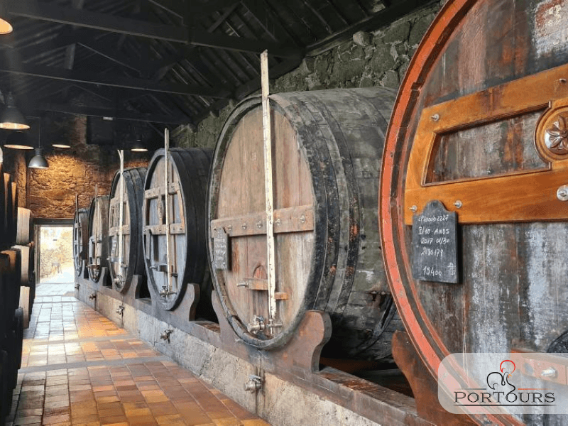 Wine & History Cellars Tour with Portours in Porto
