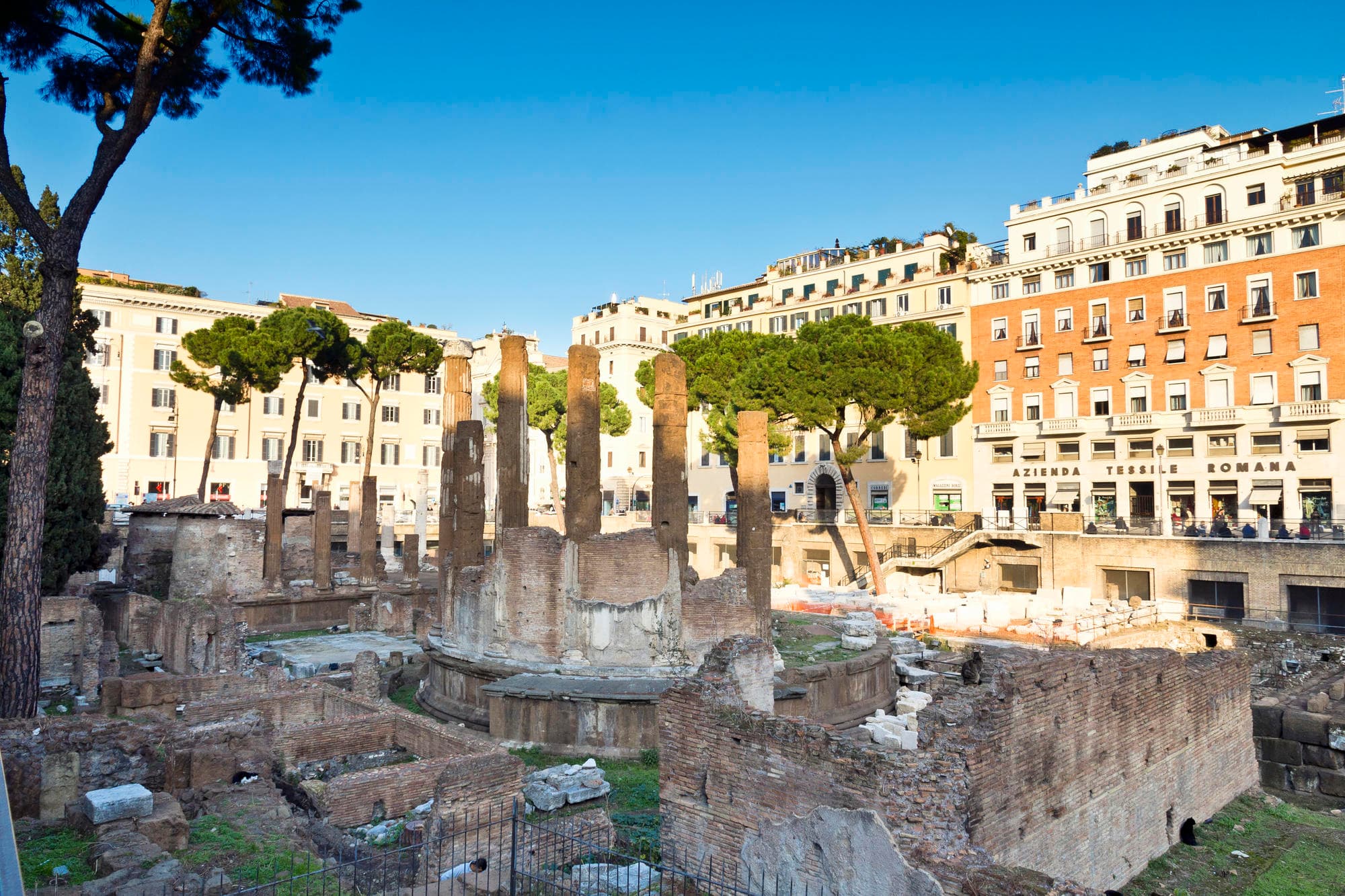 Walking Rome’s Piazzas & Fountains with Bras Tours