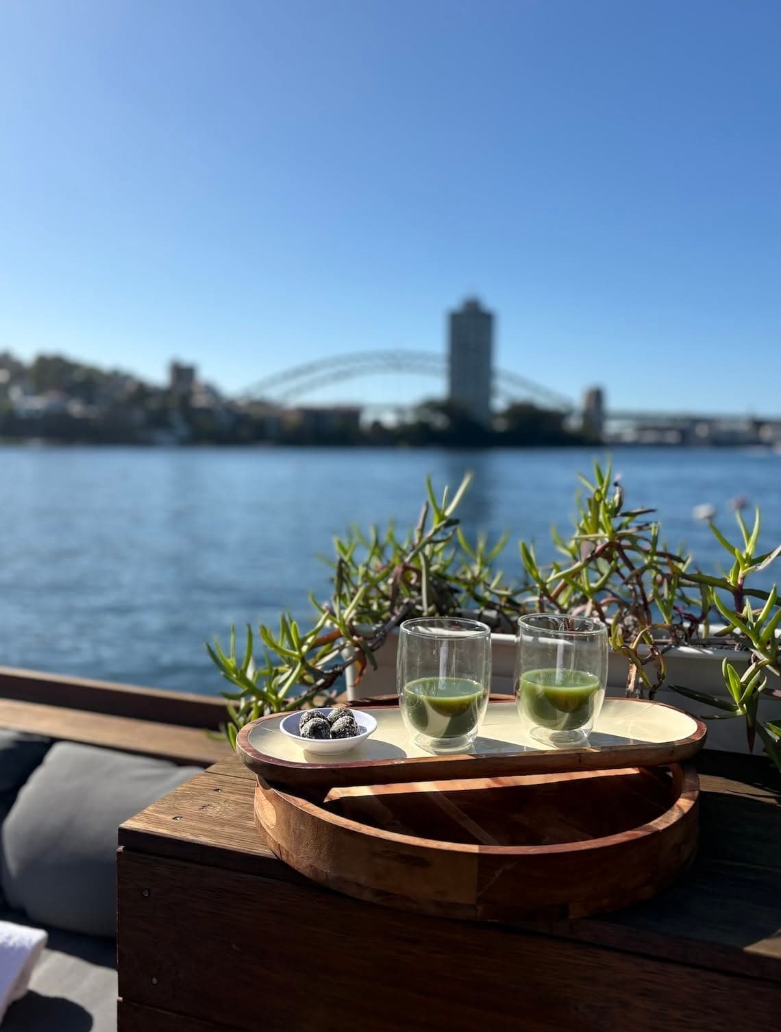Sydney Harbour Floating Sauna: Cedar Sauna & Cold Plunge Cruise photo 4