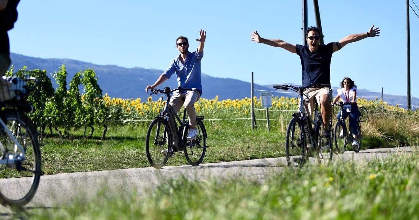 Glide Through Geneva’s Vineyards on an eBike Wine Tour
