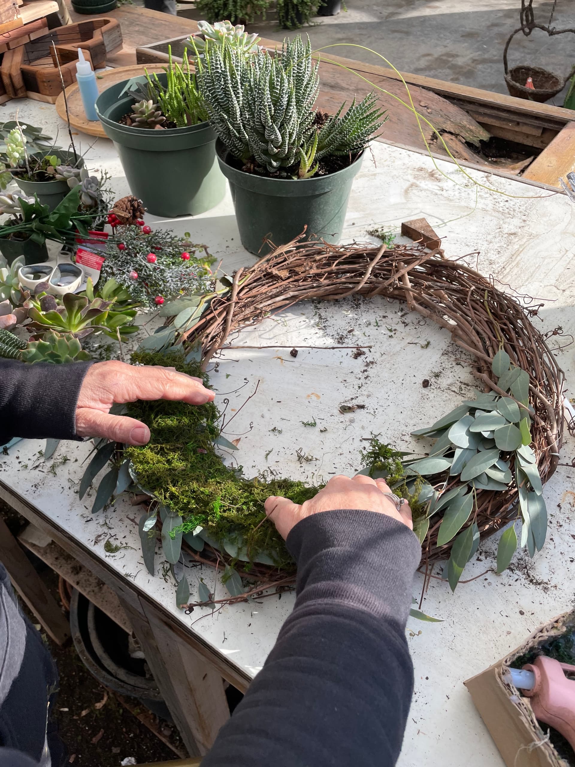 Make a Succulent Christmas Wreath in Clovis — Holiday Workshop & Living Decor photo 2