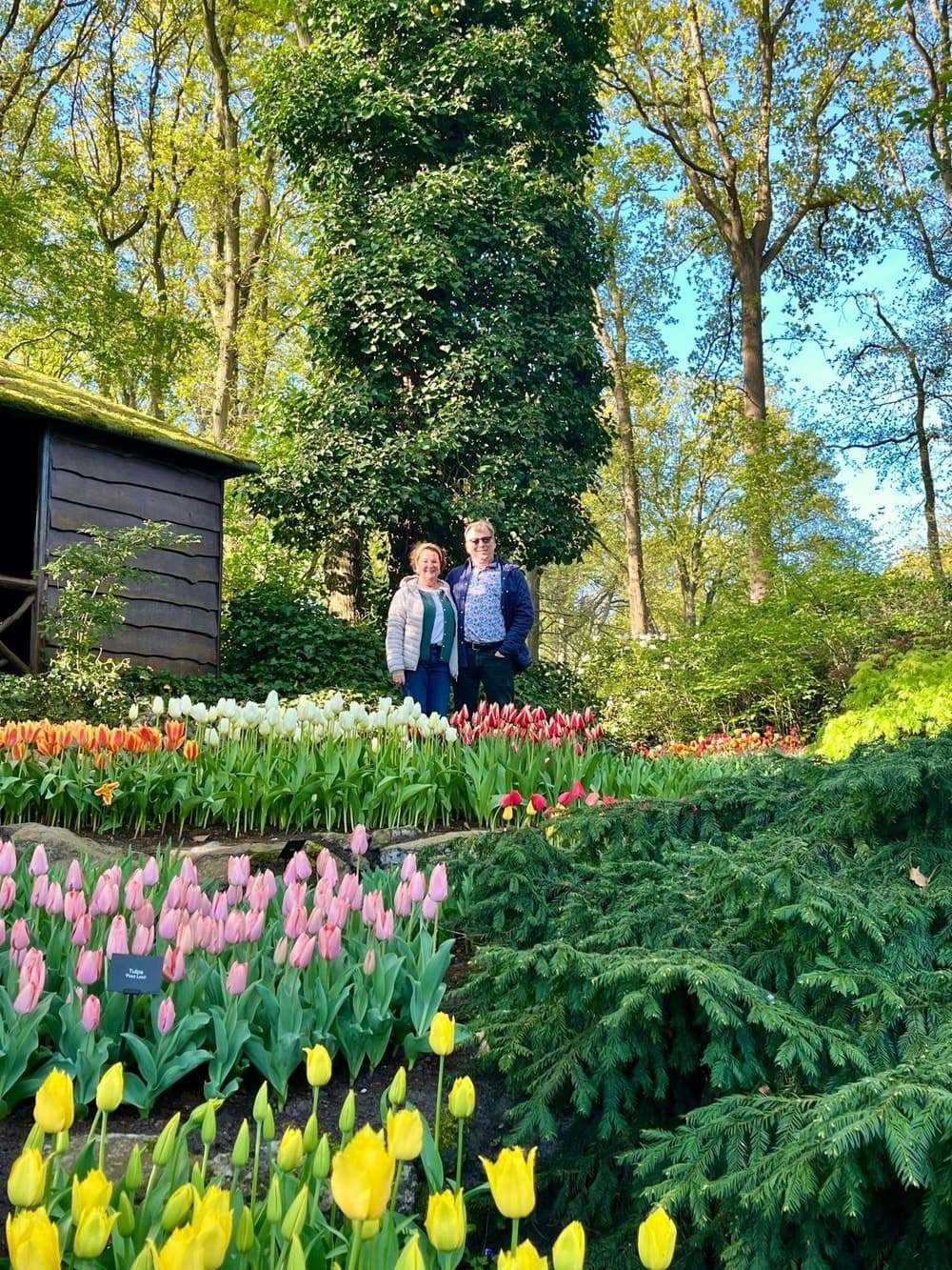 Private Keukenhof half-day tour — tulips, fields & windmills from Amsterdam photo 1