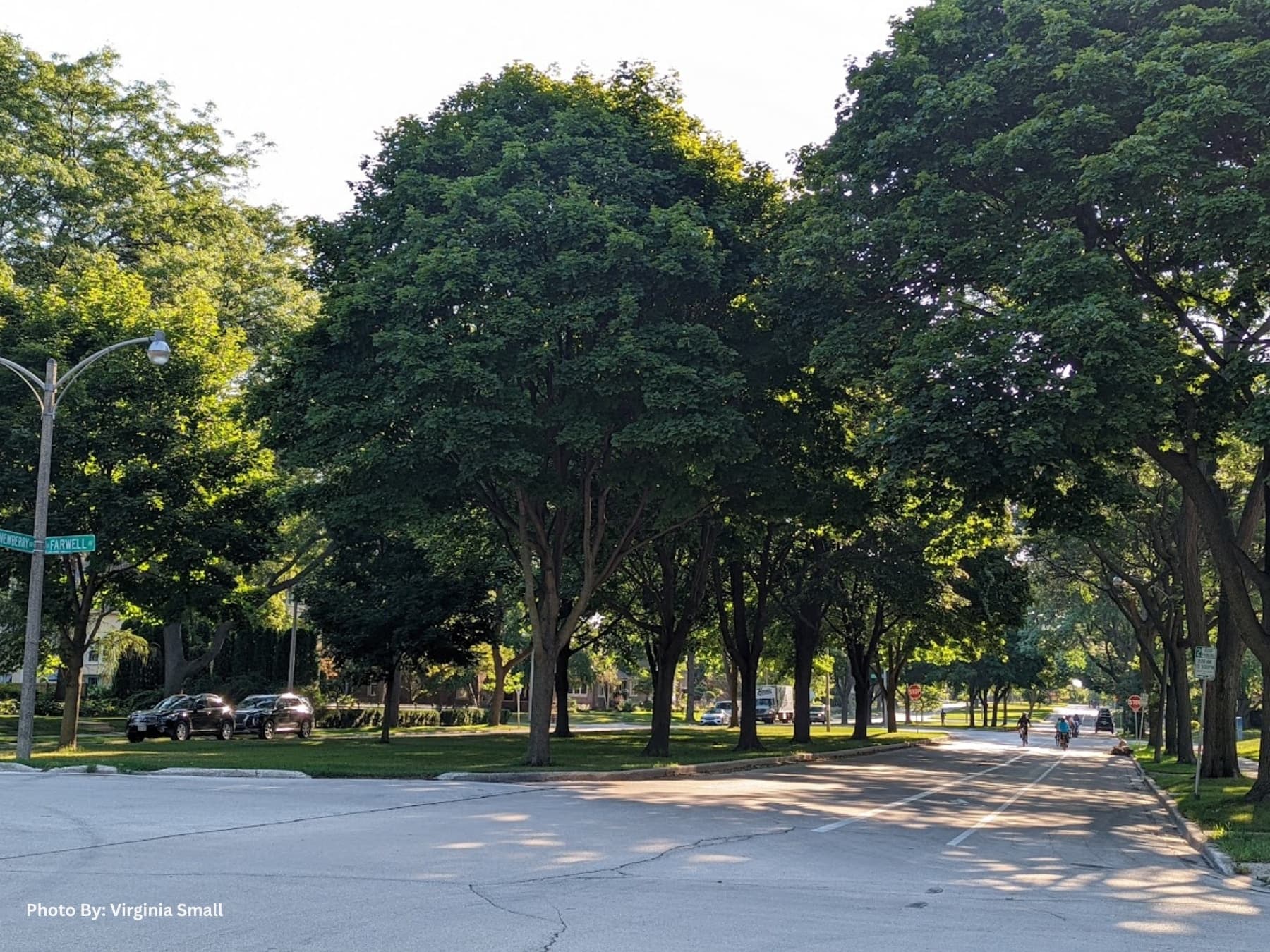 City Walk Adventure at Newberry Boulevard & Parks