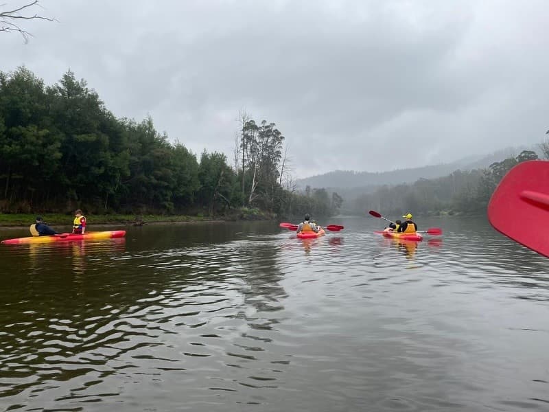 Overnight Kayak Camping on the Shoalhaven River in Kangaroo Valley