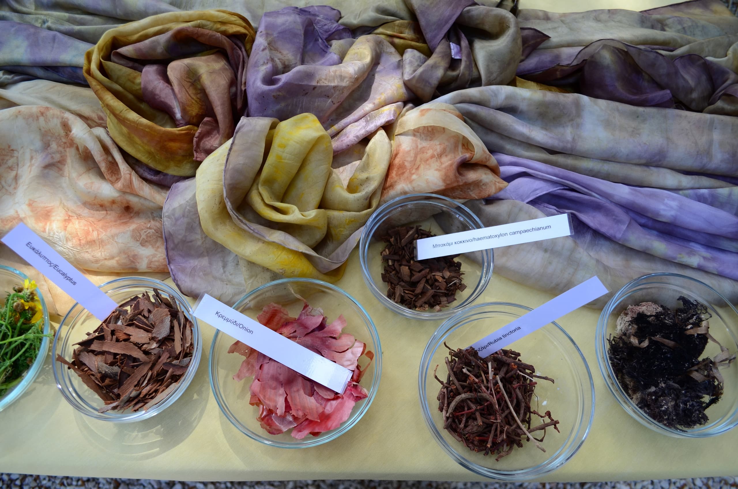 Color from the Hills: Plant Dyed Bags Workshop in Ogden, Utah