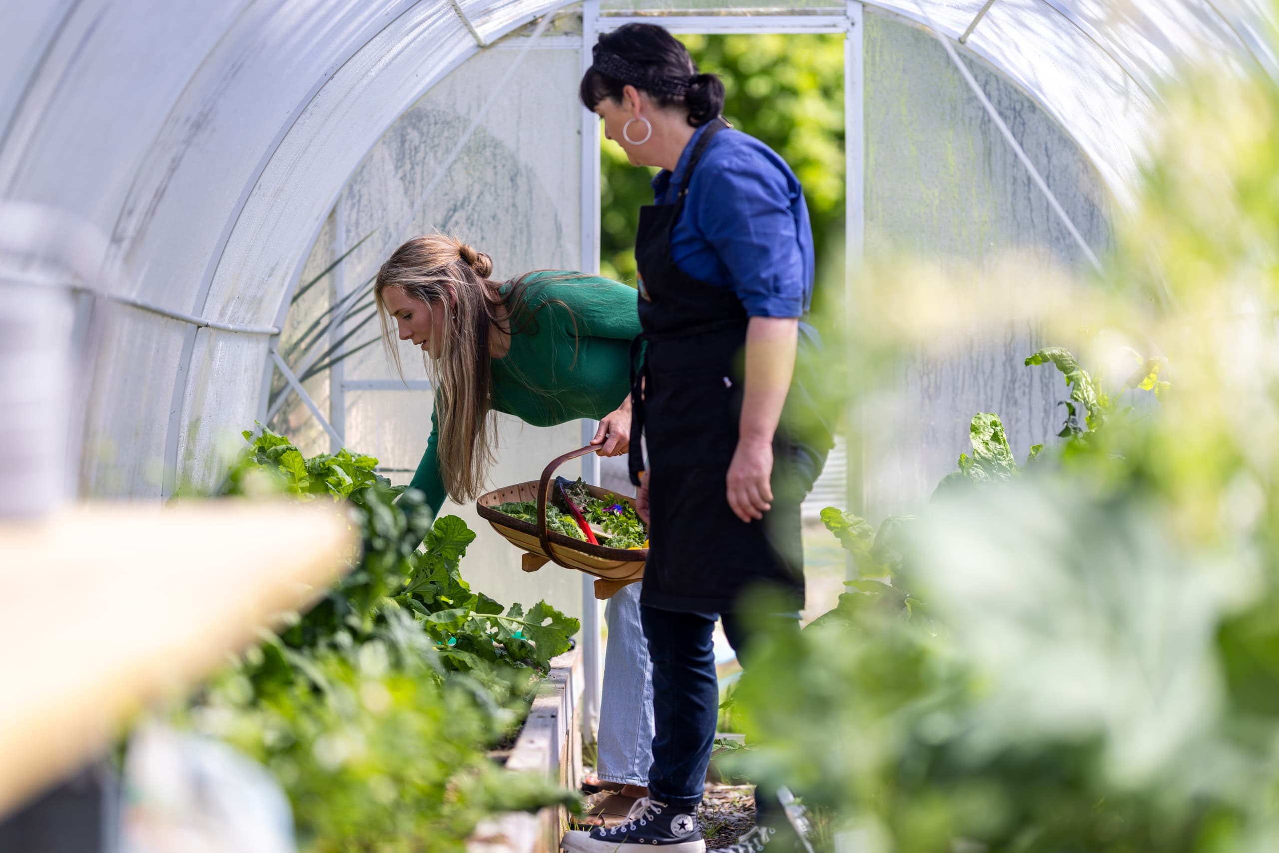 Full-Day Culinary Immersion with The Hapuku Kitchen Limited