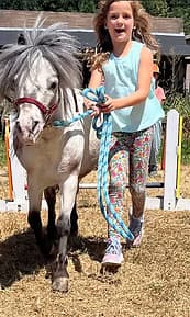 Pony Rides at Cougar Mountain Stables: A Gentle Introduction to Horseback Riding Near Renton
