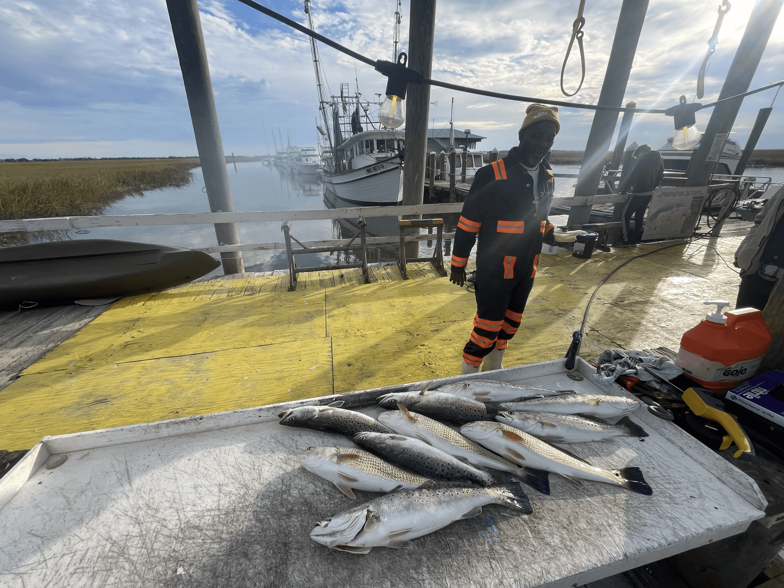 Light-Tackle Inshore Fishing Adventure on Tybee Island: Hook Spotted Seatrout, Sharks & More