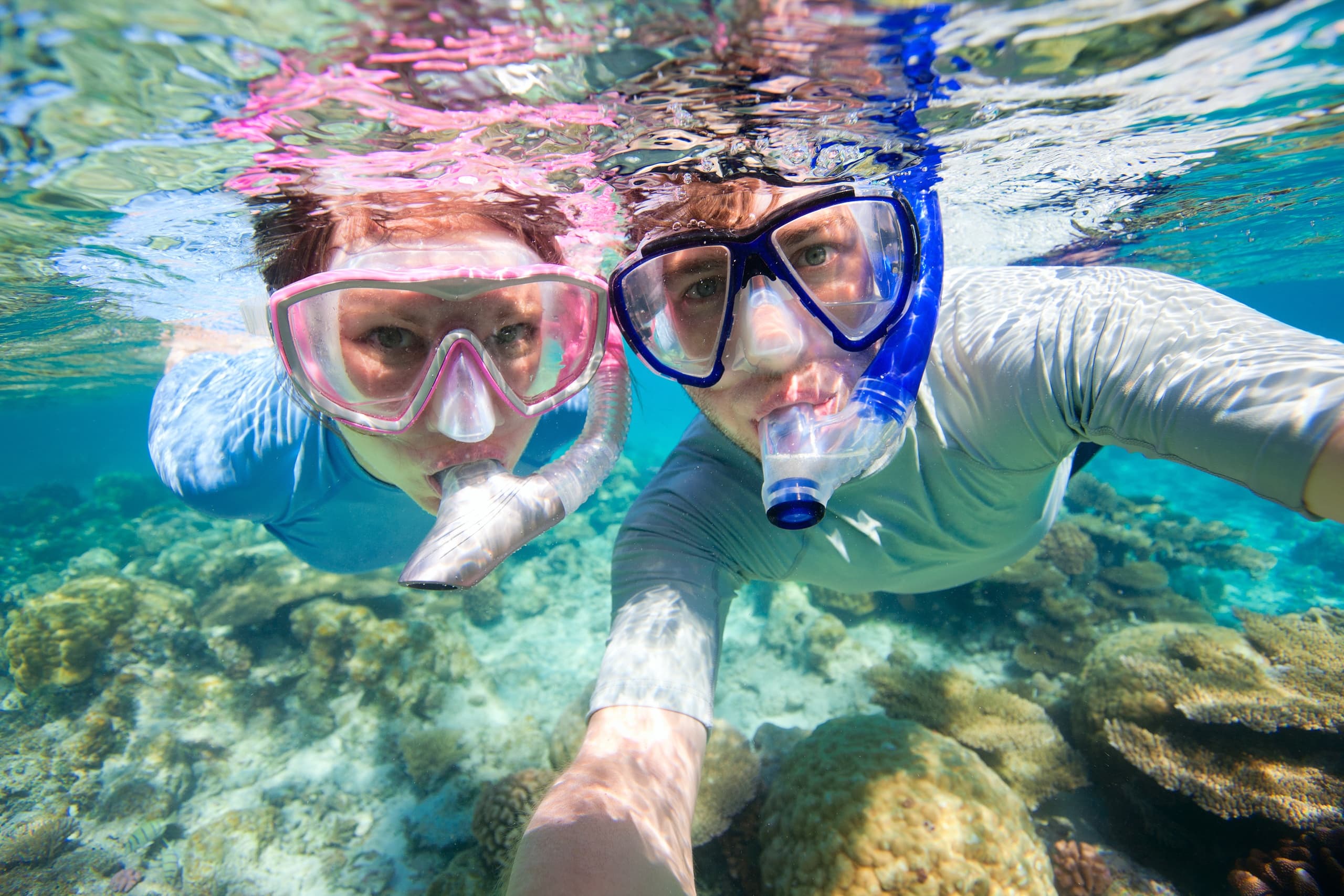 Guided Snorkel Tour in Waikiki, Honolulu