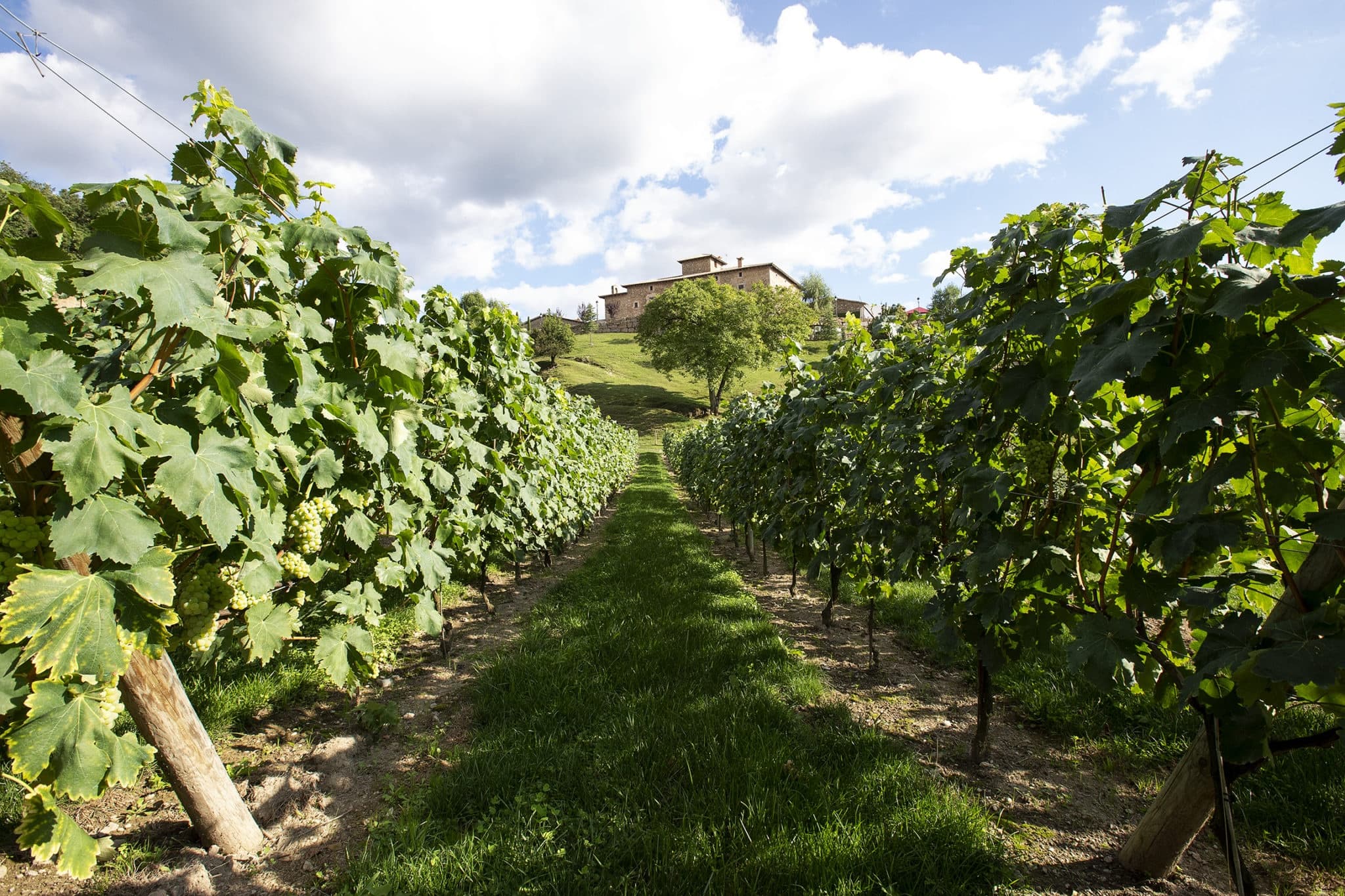 Land Adventures at Clarella Wines in the Mountains