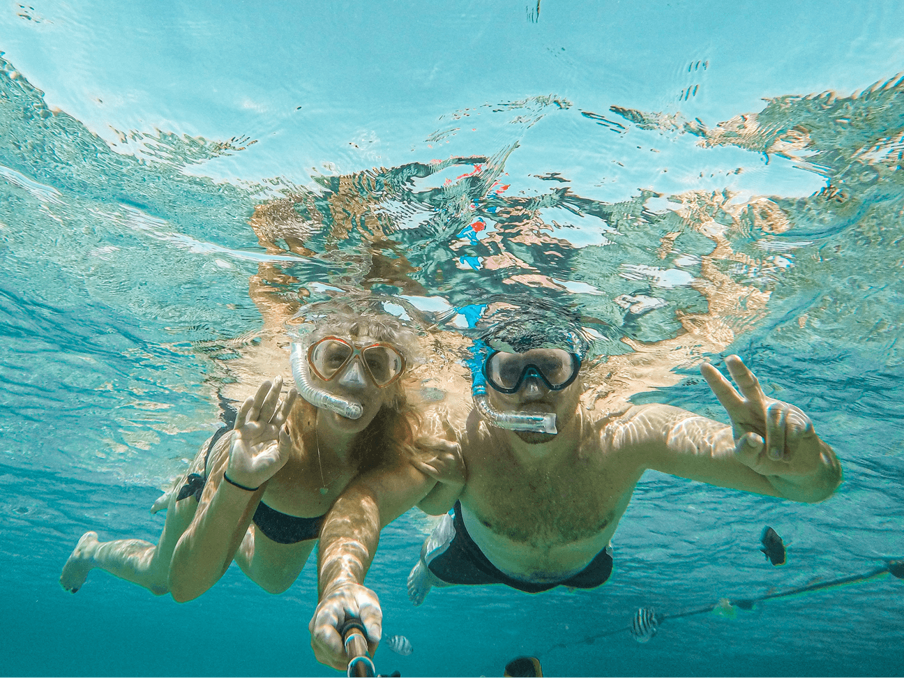 Barrier Reef Snorkel Adventure in Marathon, Florida