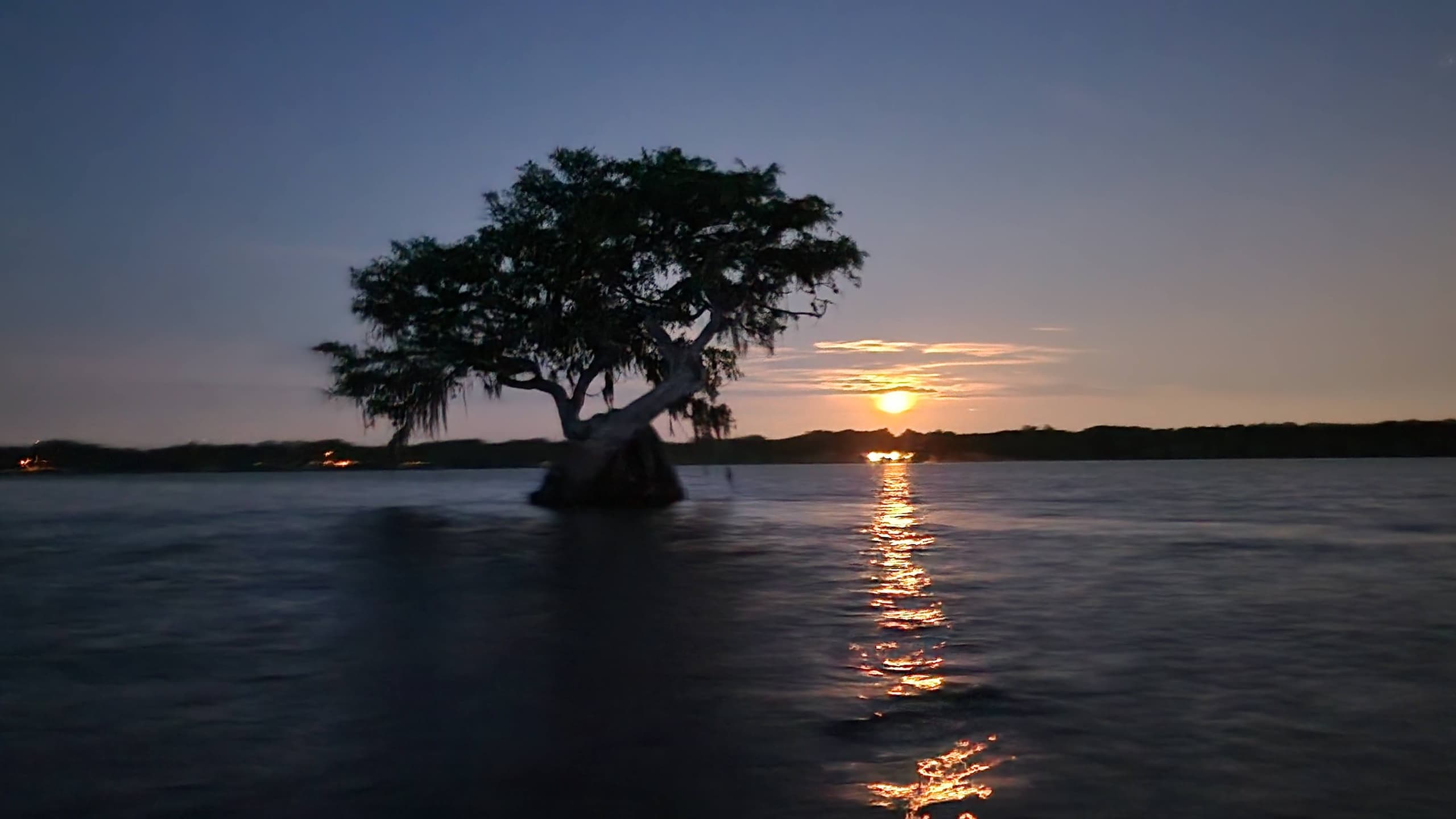 Peaceful Night Kayaking in Eustis, Florida