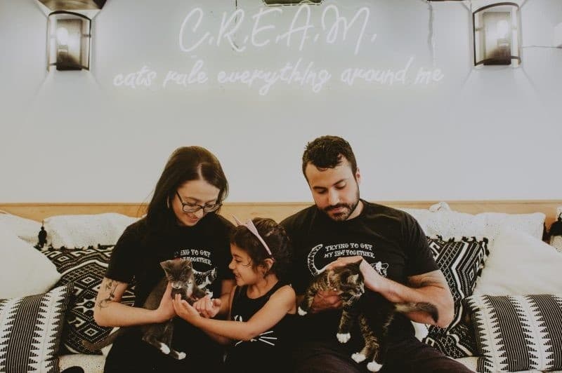 Kid-Friendly Private Snuggle Session (Ages 8+) at Kitty Cantina, Spokane