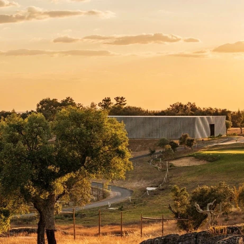 Wine Tasting & Winery Tour at Herdade da Rocha