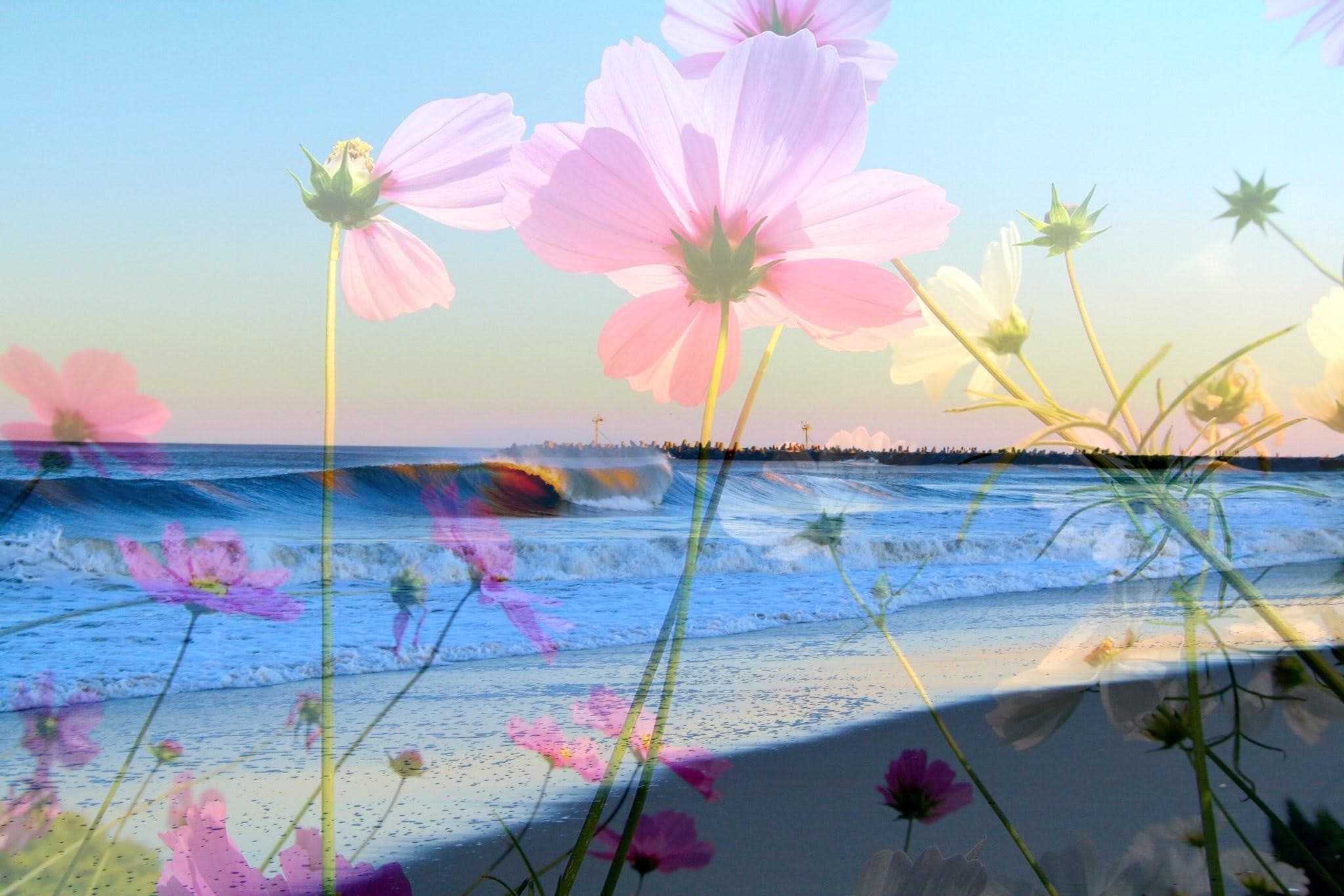 Water-Activities at Pink Pineapple Surf LLC