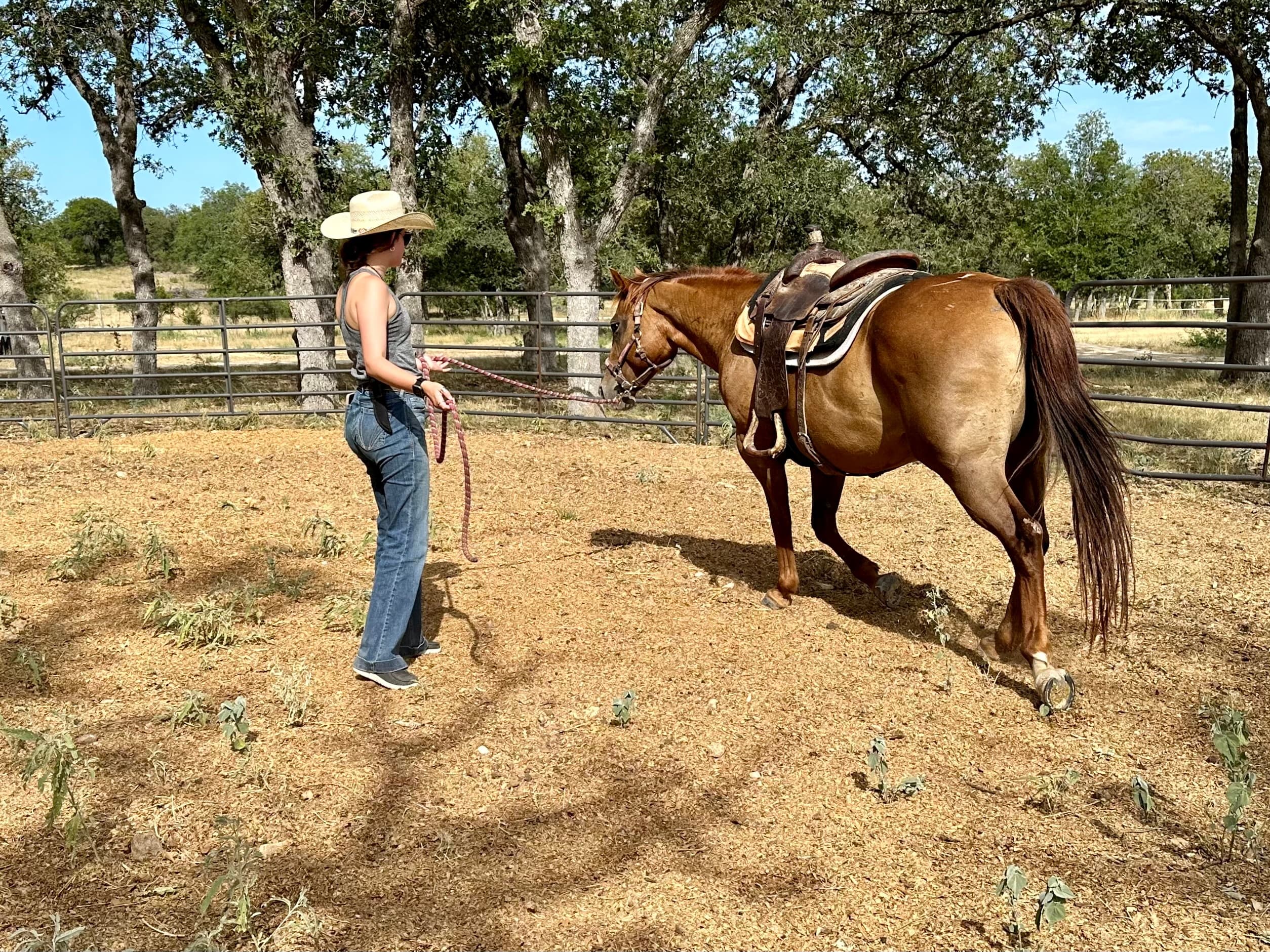 Horsemanship Weekend in Bandera, Texas