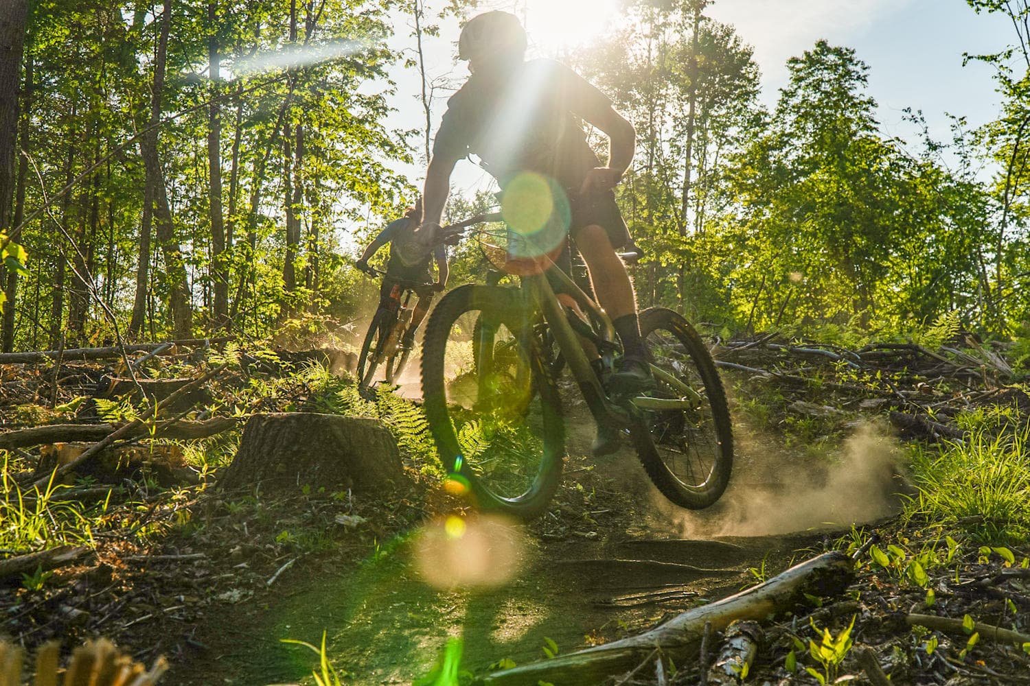 Mountain biker jumping on sunlit forest trail at golden hour