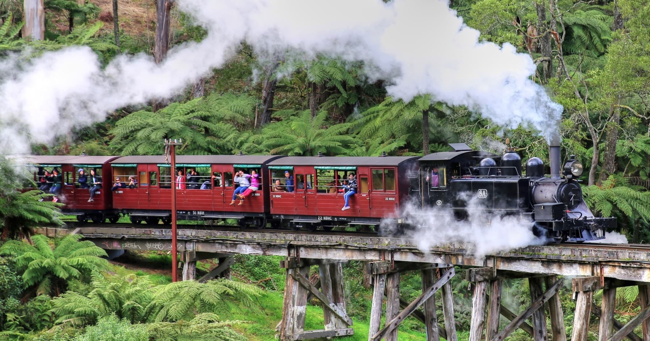 Land Adventures: Puffing Billy & Healesville Sanctuary Tour