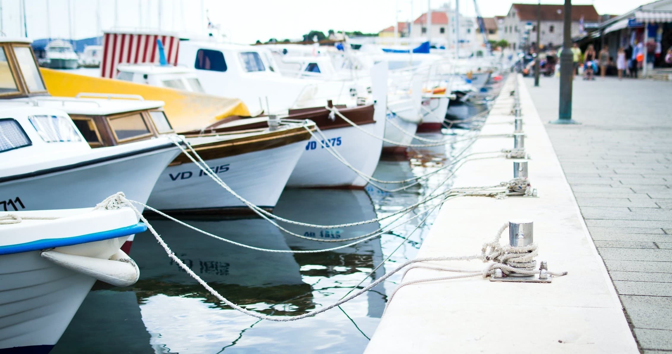 Crabbing Adventures with Money Island Marina in Downe, NJ