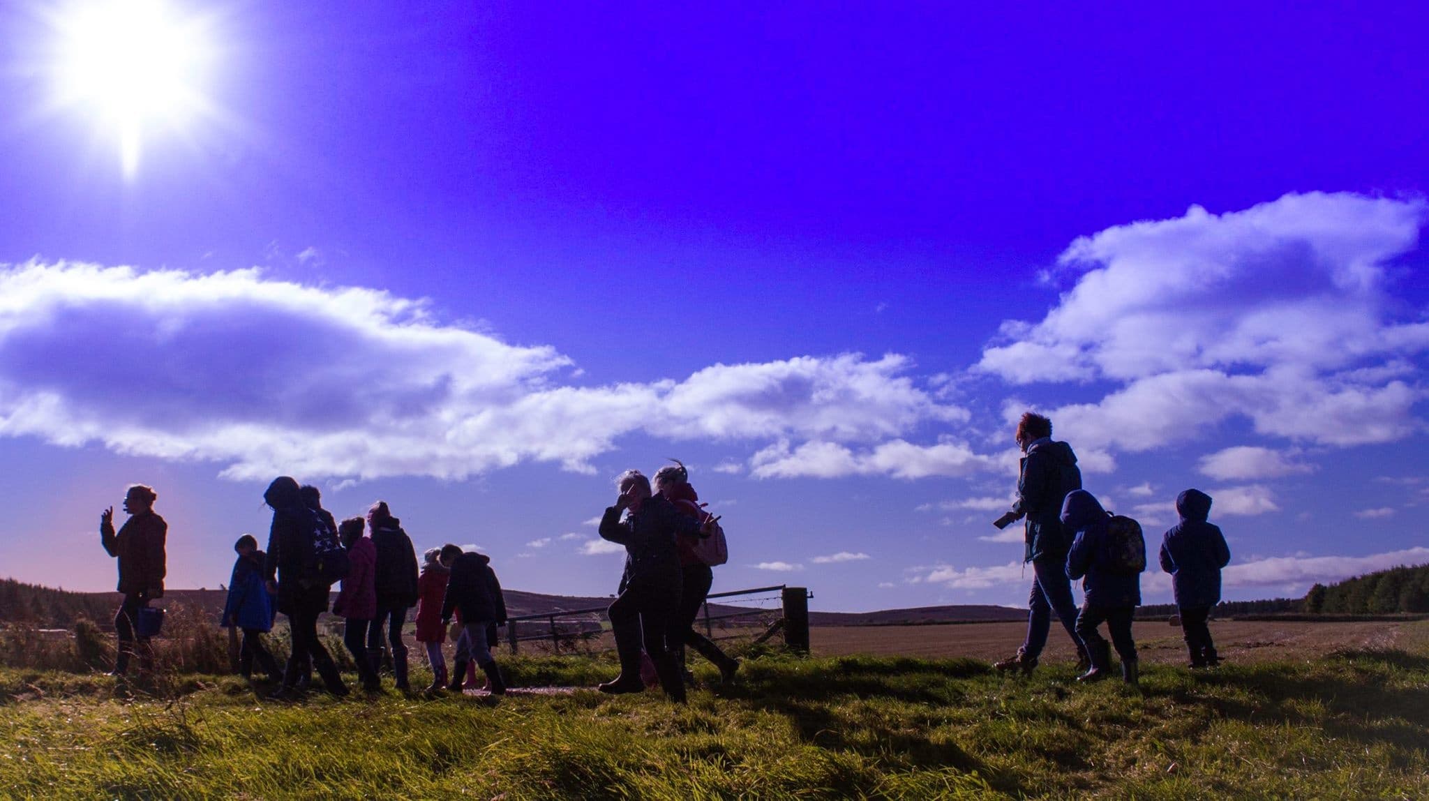 Explore Scotland’s Farm Life: Bespoke Private Group Tours in Inverarity