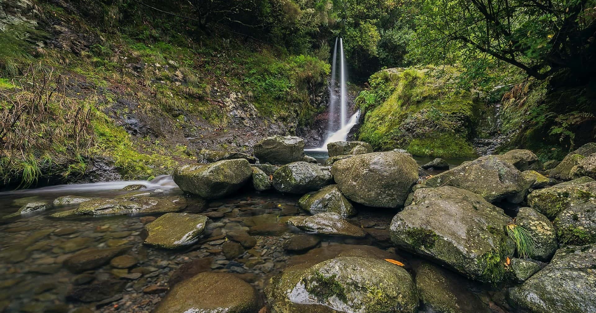 Levada Ribeiro Frio – Portela with Madeira Happy Tours