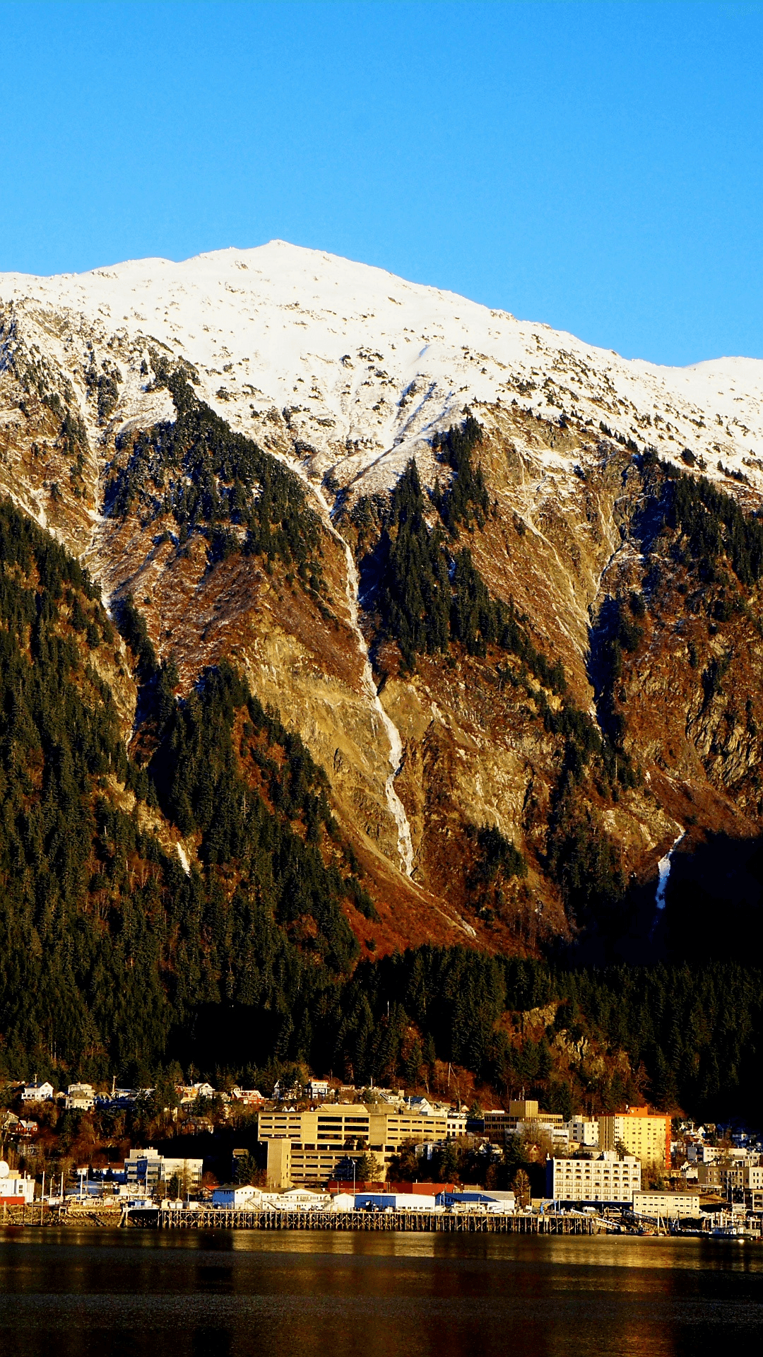 Urban Culture & History Tour via Moon Dawg Tours in Juneau