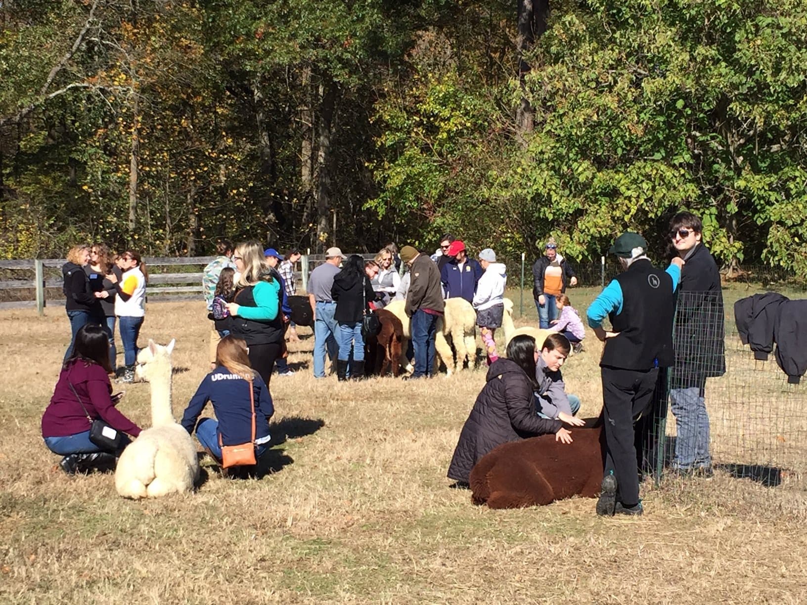 Land Adventures at Painted Sky Alpaca Farm
