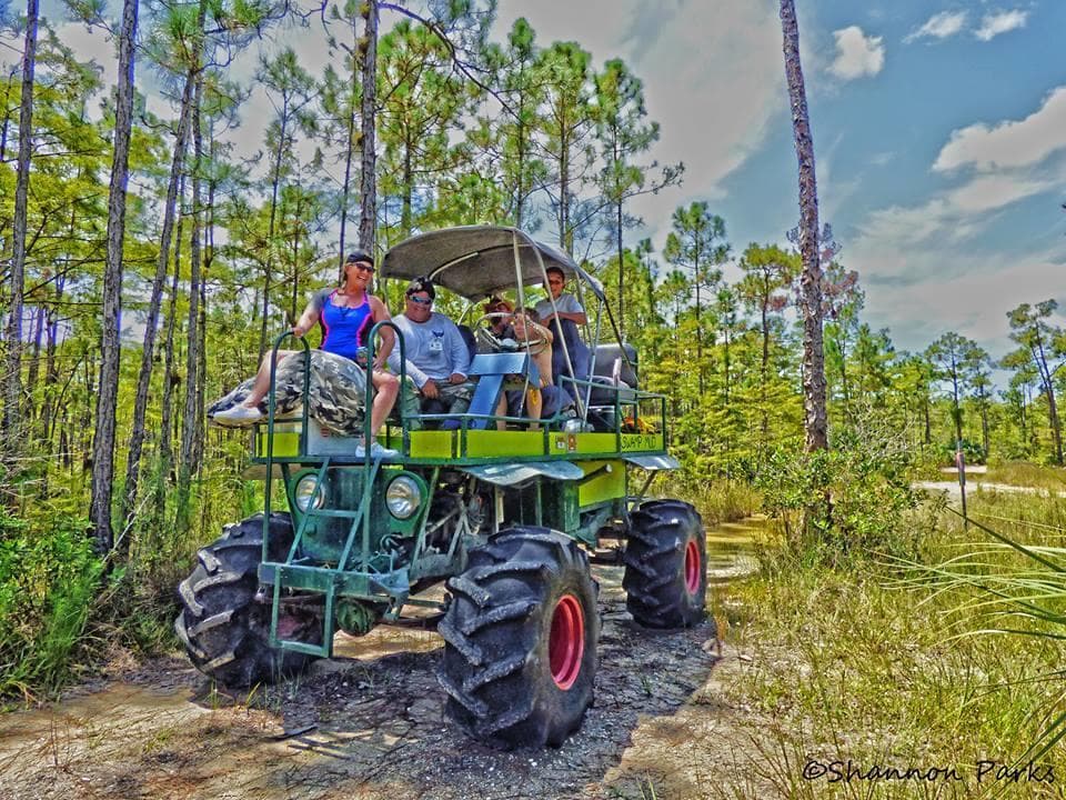 Wildlife & Land Adventures with Everglades Nature Tours