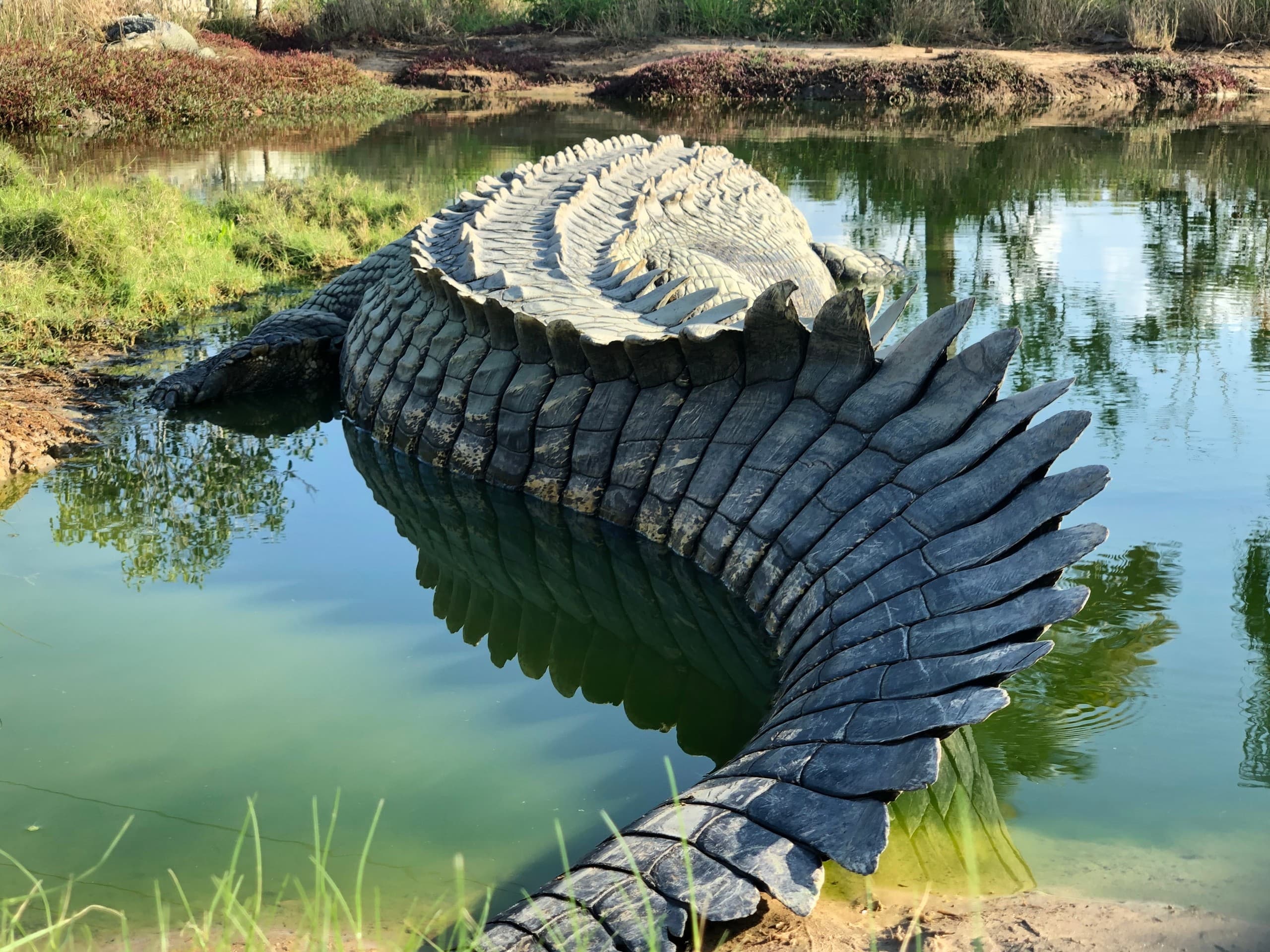 Behind-the-Scenes at Koorana: Private Saltwater Croc Encounter near Coowonga