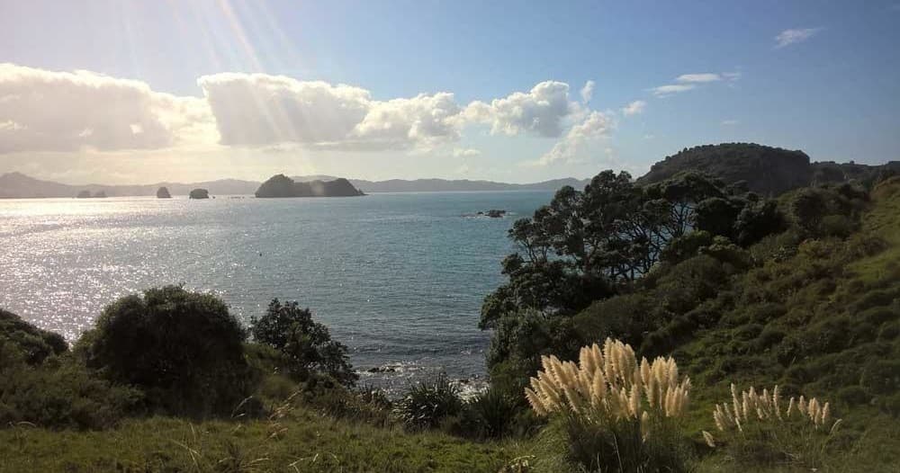 Sunlit coastal lookout with grassy bluff and ocean panoramas