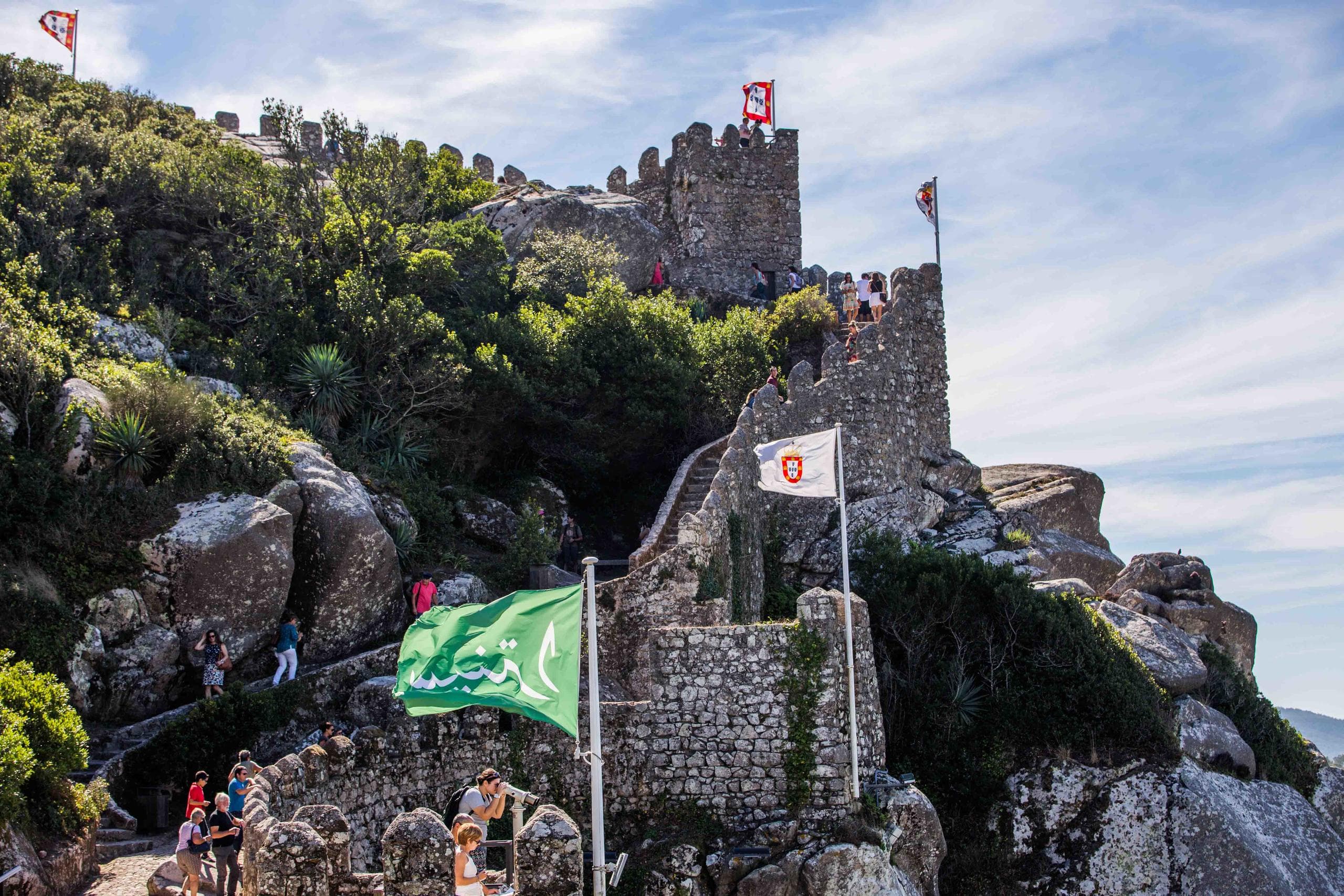 Historic hillside palace surrounded by forest, scenic castle tour