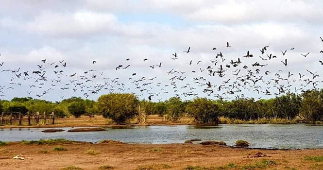 Experience Authentic Aboriginal Culture at Cable Beach Muwarrt in Western Australia
