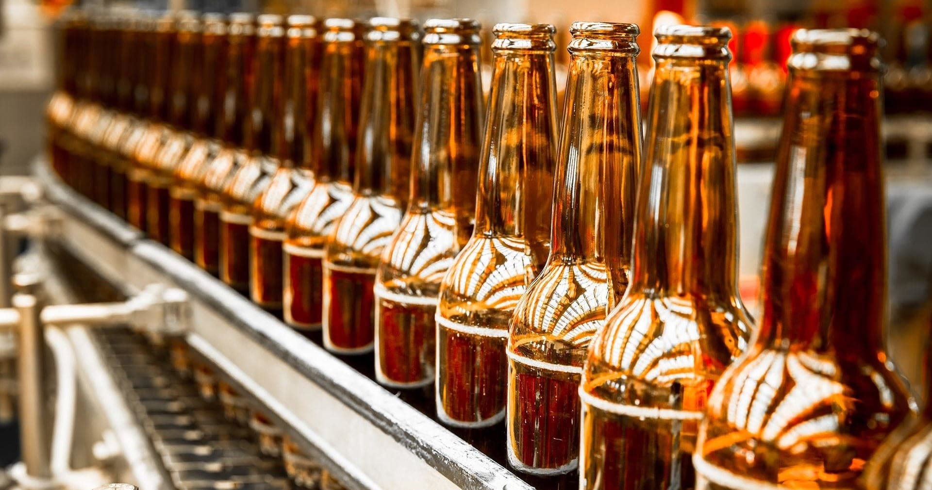 Land-Adventures at Bayou Teche Brewing: Sip and Discover