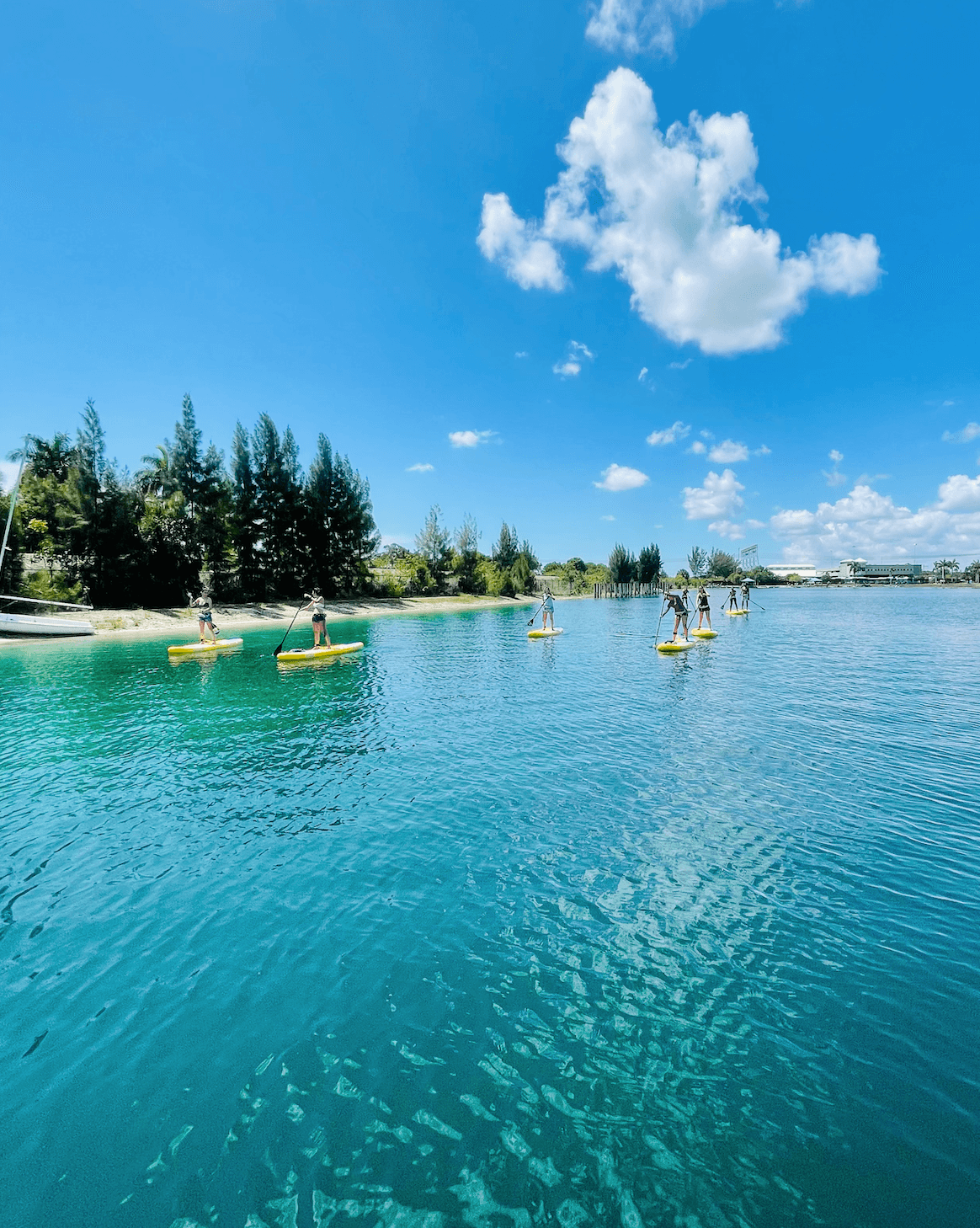 Private SUP Lesson at Tigertail Lake, Dania Beach FL