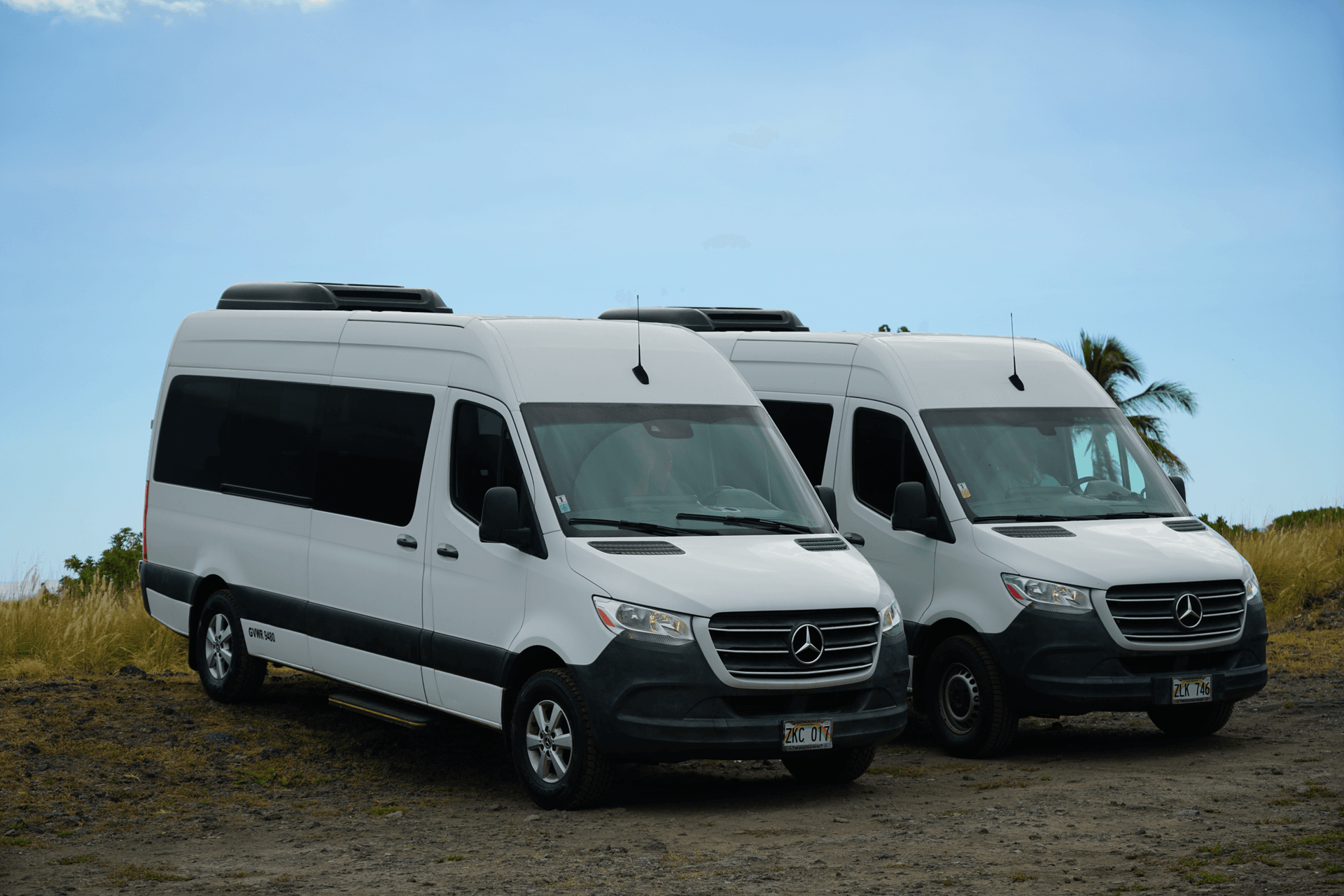 White tour shuttle vans parked near Hawaiian shoreline